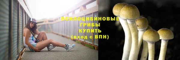 spice Алзамай