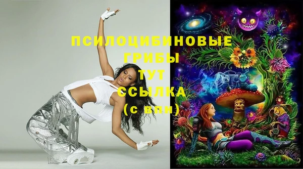 spice Алзамай
