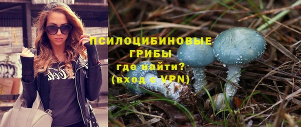 молекула духа Алексин