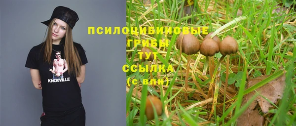 тгк Алексеевка