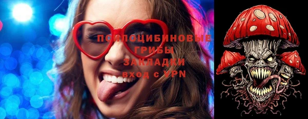 тгк Алексеевка